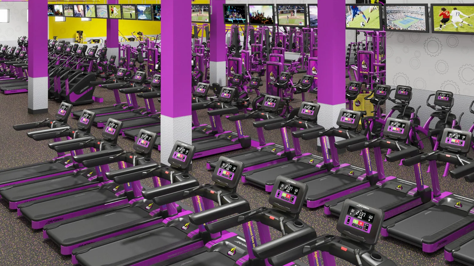 Planet fitness and Big gyms